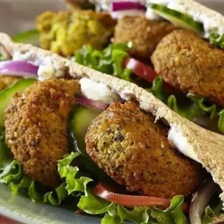 فلافل20ری