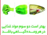 عاطفه حسنی نسب