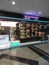 گیگاترونیک (فروش وخدمات کامپیوتر)
