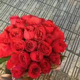 گلفروشی پالرمو