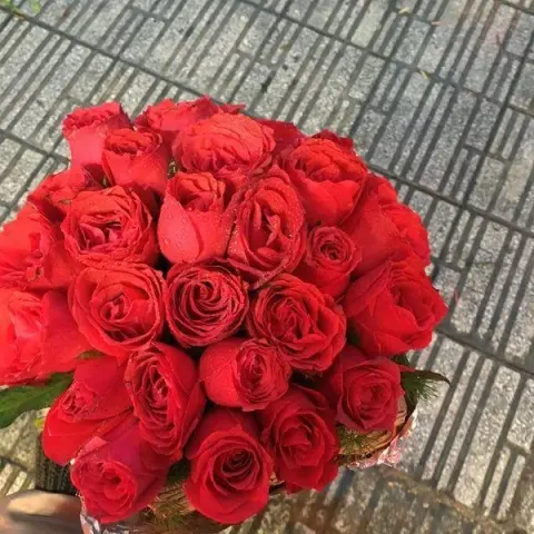 گلفروشی پالرمو