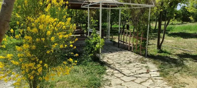 ویلا و باغ اجاره‌ای جاوید