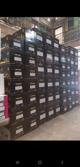 پخش شیرالات بابازاده میارمیار