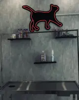 پانسیون تخصصی گربه لونا
