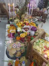 فینگرفود با کیفیت و متناسب با بودجه شما
