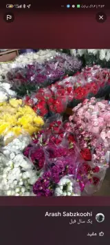 آقای گل ایران