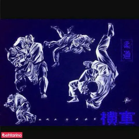 باشگاه صنایع دفاع (جودو و دفاع شخصی)