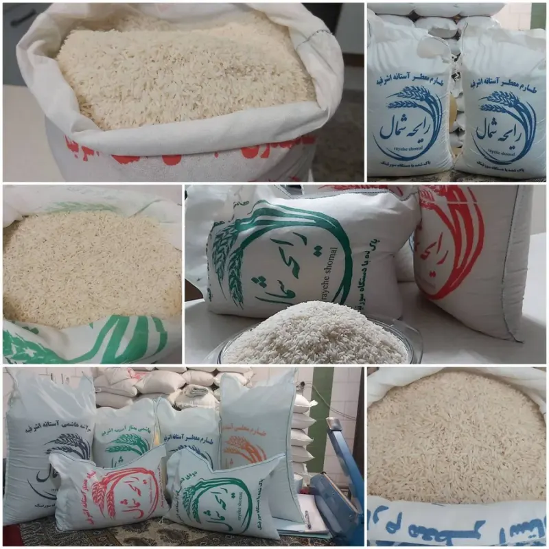 برنج رایحه شمال