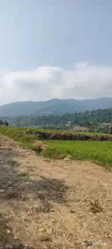 املاک ونیز