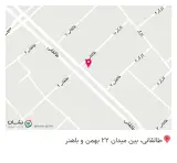 فست فود پنگوین پیتزا پنگوین