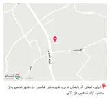 پیتزا تک