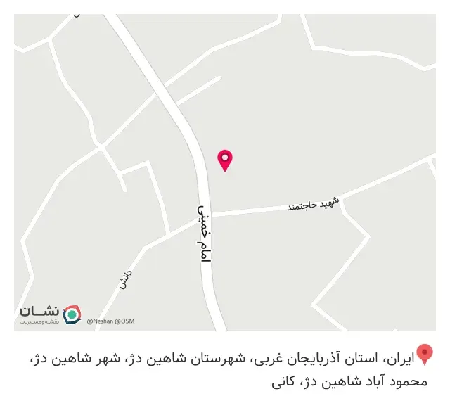 پیتزا تک