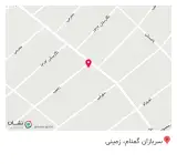 کامپیوتر دلفین