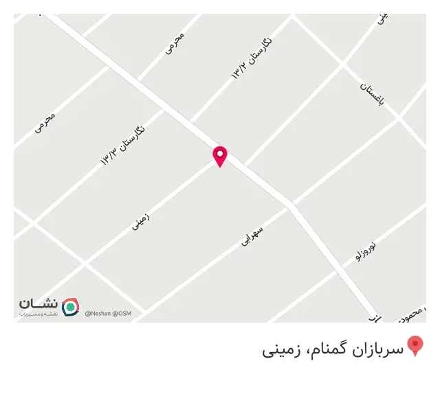 کامپیوتر دلفین