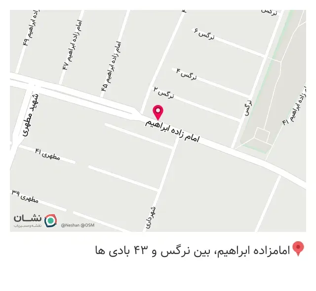 پیتزا و مرغ بریان نشاط