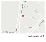 پیتزا پاریس.