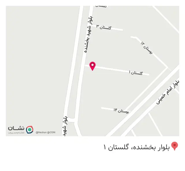 پیتزا پاریس.