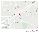 روانشناس دكتر مينا احمديان