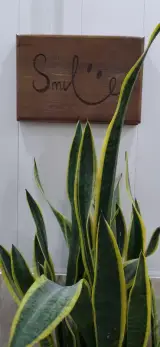 آموزشگاه زبان اردیبهشت
