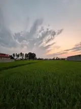 چشمه میانرود