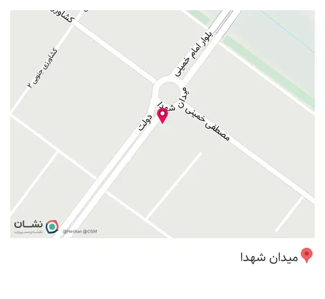 پیتزا تورینو