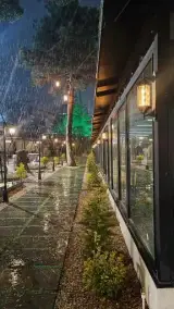 باغ رستوران ویستور