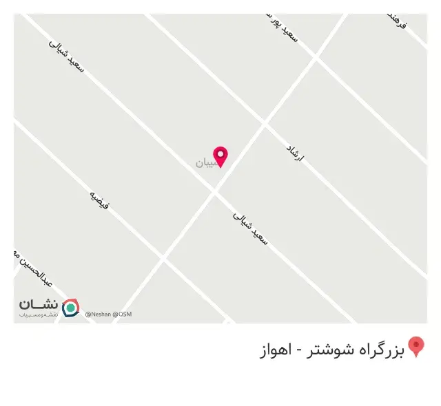 پیتزا برگر ناب