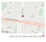 فست فود دلژین