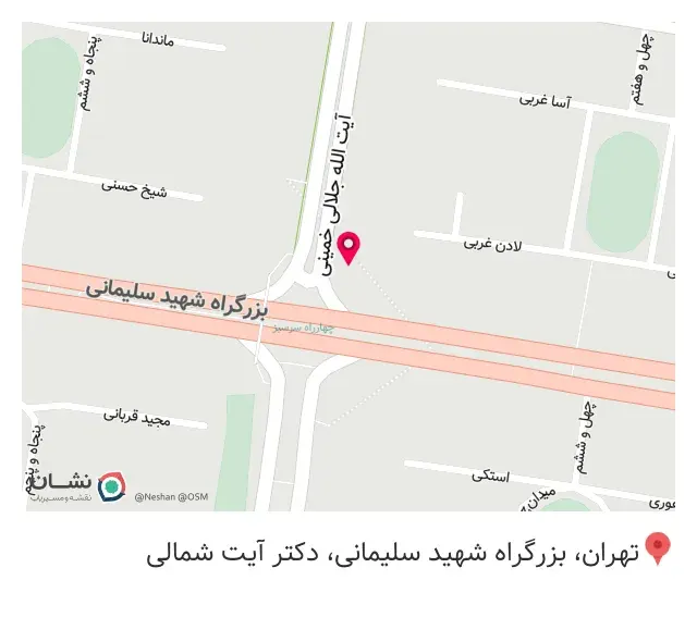 فست فود دلژین