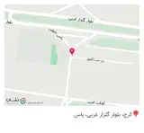 پیتزا ساندویچ گلها