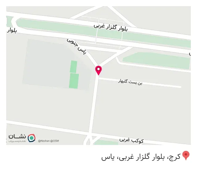 پیتزا ساندویچ گلها
