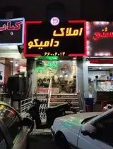 مشاورین املاک دامیکو