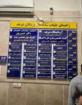 دکتر راضیه صداقت-فک