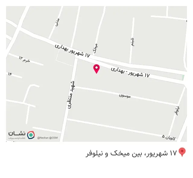 تریا نوژن