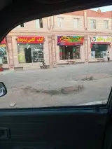 گروه پوشاک بچه مانلی