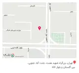 پوشاک زنانه دیزل
