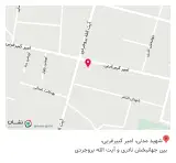 رایان ویچ