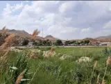 چهل چشمه