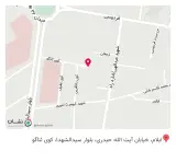 دکتر سعید سیف منش