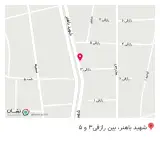 پیتزا تنوری تورینو