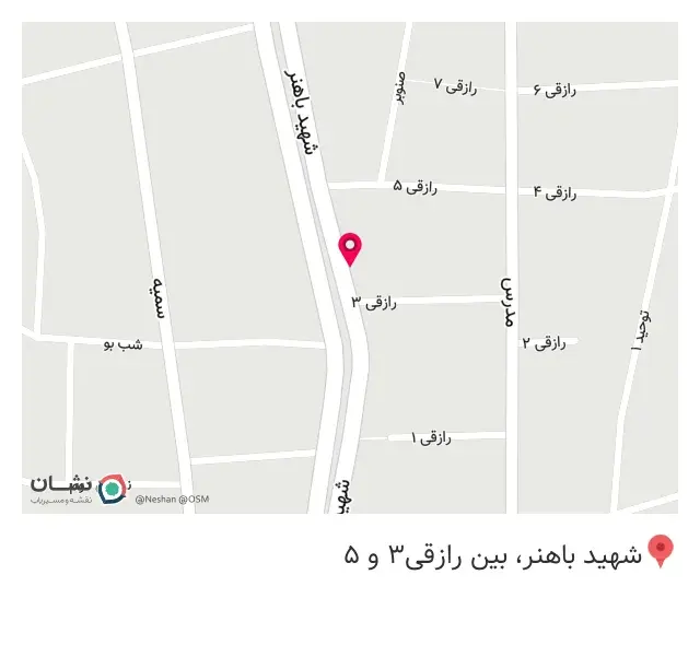 پیتزا تنوری تورینو