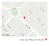 جواهری دلفین