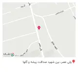 طلا و سکه محسن