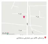 چیکن کیلویی