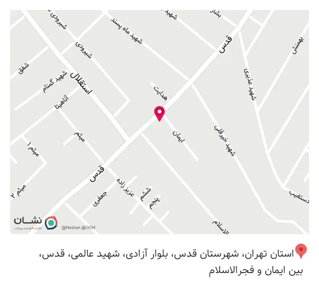 ساندویچ و پیتزا ماهور
