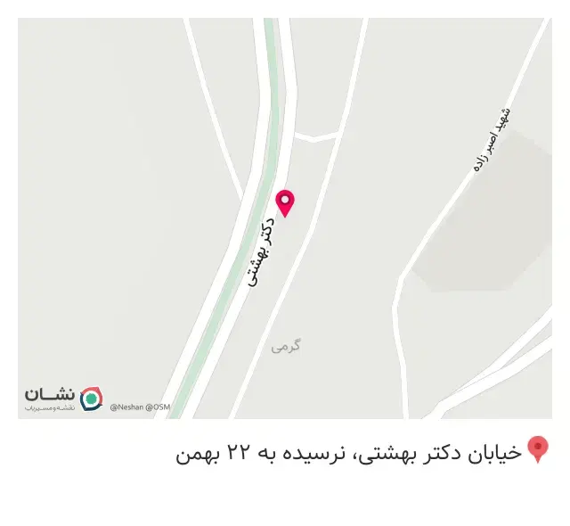 پیتزا ساندویچی تاملی