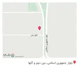 مرغ کنتاکی