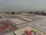 قالیشویی ابابیل