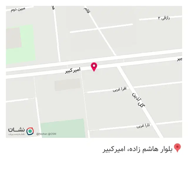 شیلا امیرکبیر