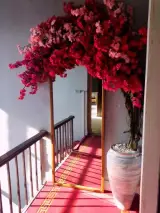 کافه سنتی نوحه خوان